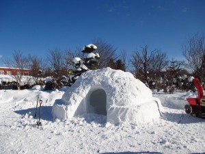 でっかいかまくら★