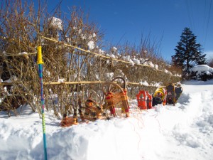 かんじきコーナー