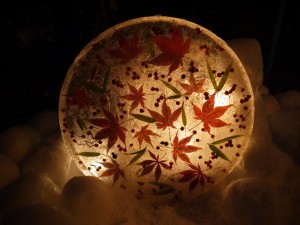 バランス良く配置されたモミジ