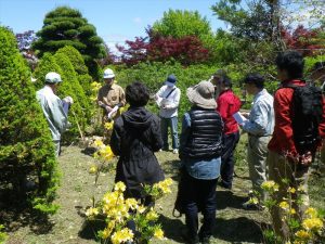 庭木の移植講習会の様子