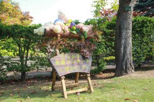 9/9コンサート開催決定