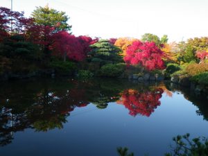 日本庭園の池に映る紅葉