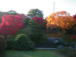 日本庭園の紅葉