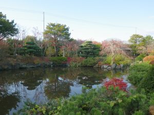 日本庭園　落葉