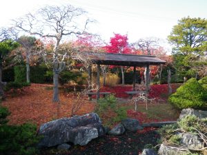 日本庭園　落葉