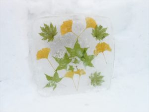 イチョウとモミジのアイスボード