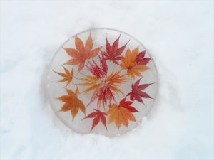 いろいろモミジのアイスボード