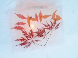 みどりーむ模様のボード