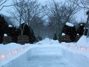 モミジ並木とアイスキャンドル