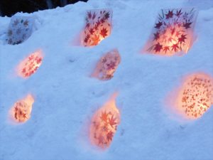 モミジやお花のアイスボード