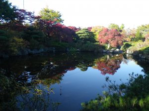 日本庭園にある2つの池の上の池。マツやツツジ、シャクナゲ、モミジ･カエデに囲われている上の池は、逆さ冨士ならぬ逆さ紅葉がお楽しみいただけます。