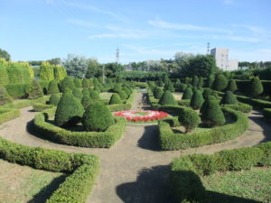 Yew Tree Topiary