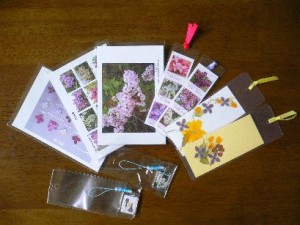 しおり・絵葉書の写真