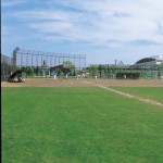 野球場
