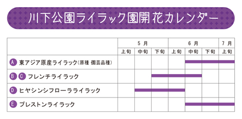 開花カレンダー