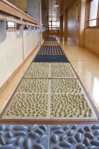 健康歩道の写真3