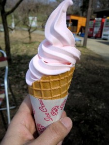 「☆梅ソフトクリーム販売中☆」の画像