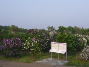 「いよいよ明日開催！」の画像