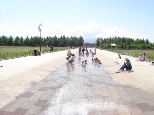 「カナール（水路）運転について」の画像