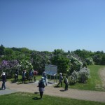 「たくさんのかたにご来園いただきました。」の画像