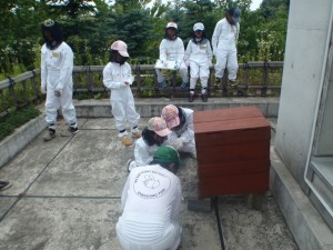 「園内散策、どんな虫がいるのかな？～第3回みつばち調査隊～」の画像