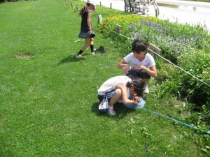 「みつろうクラフト＆巣の中の行動をのぞいてみよう～第5、６回みつばち調査隊～」の画像