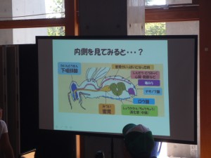 「ミツバチの身体のしくみと行動観察～第７回みつばち調査隊～」の画像