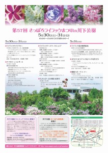 リラコレチラシ裏