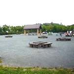 ピクニック広場