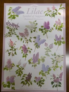 ライラックポスターの写真