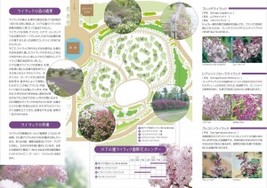 ライラックの森リーフレット裏