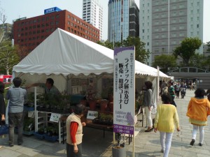 「ライラック情報④大通公園編」の画像