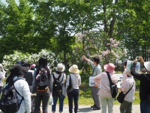 「天晴れ！ライラックまつりin川下公園」の画像