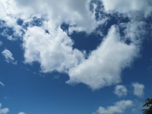 「園内情報」の画像