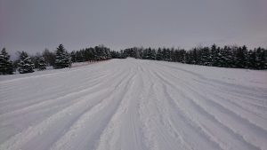 「スキー学習前に！！」の画像