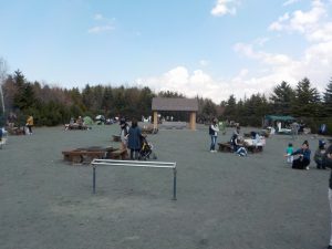 「ピクニック広場が今日から開始です！！」の画像