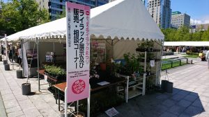 「川下公園ライラック情報☆大通公園出展情報も！！」の画像