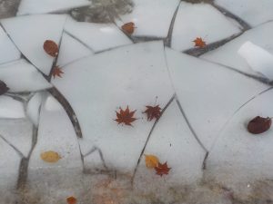 「氷の芸術？」の画像