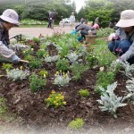 ガーデニング講座