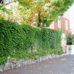 Ｈ１０春・西区西野７－１０関口邸８re-l