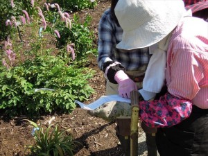 植込図をチェック★