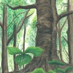 第47回みどりのさっぽろ大賞（中） 宮田 結羽さん