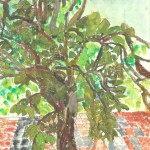 第47回みどりのさっぽろ大賞（小） 青木 優偉さん