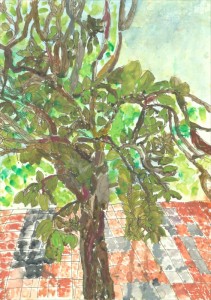 第47回みどりのさっぽろ大賞（小） 青木 優偉さん