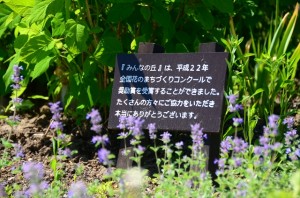 花のまちづくりコンクール