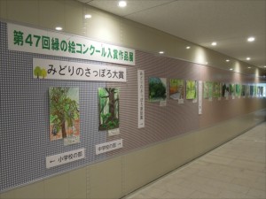 オーロラコーナーcenter