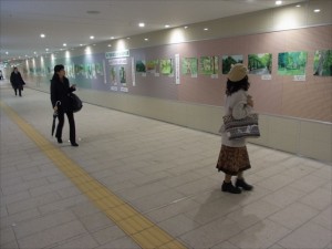 オーロラコーナー２