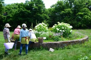 グリーンエプロンズ