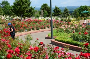 いわみざわ公園