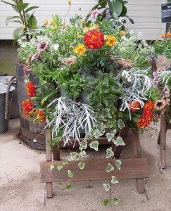 ハンギング完成